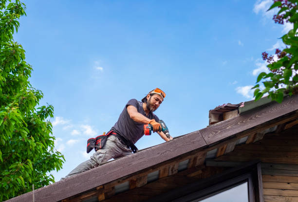 Best Skylight Installation and Repair  in Pendergrass, GA