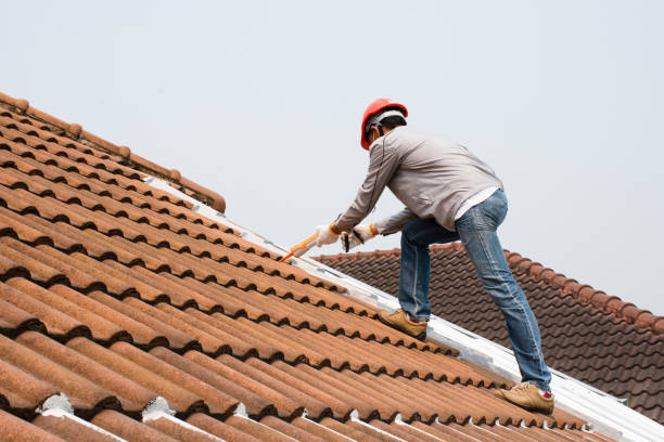 Best Metal Roofing Installation  in Pendergrass, GA